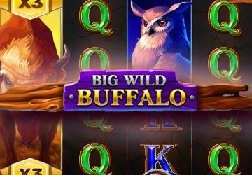 Игра Big Wild Buffalo в Кактус казино